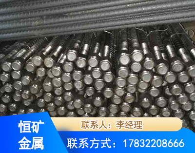 天津左旋螺纹锚杆