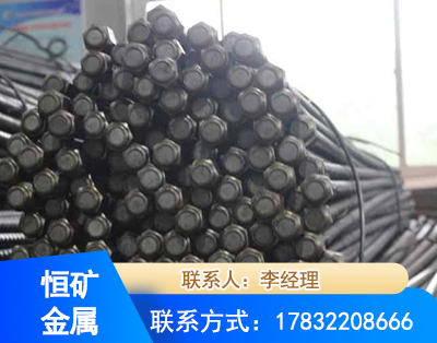 天津左旋螺纹锚杆